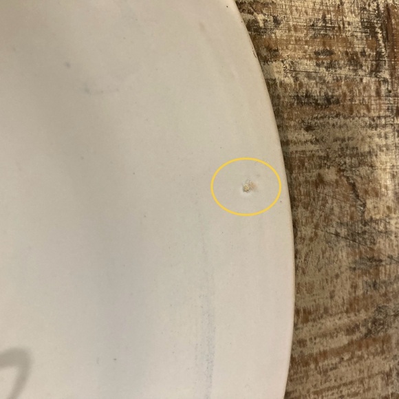 Majolica Wall Hanging 12 1/4” Bird & Flowers Hand Painted El Caballo Cojo Madrid - Picture 16 of 16